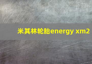 米其林轮胎energy xm2